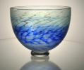 aqua bowl
